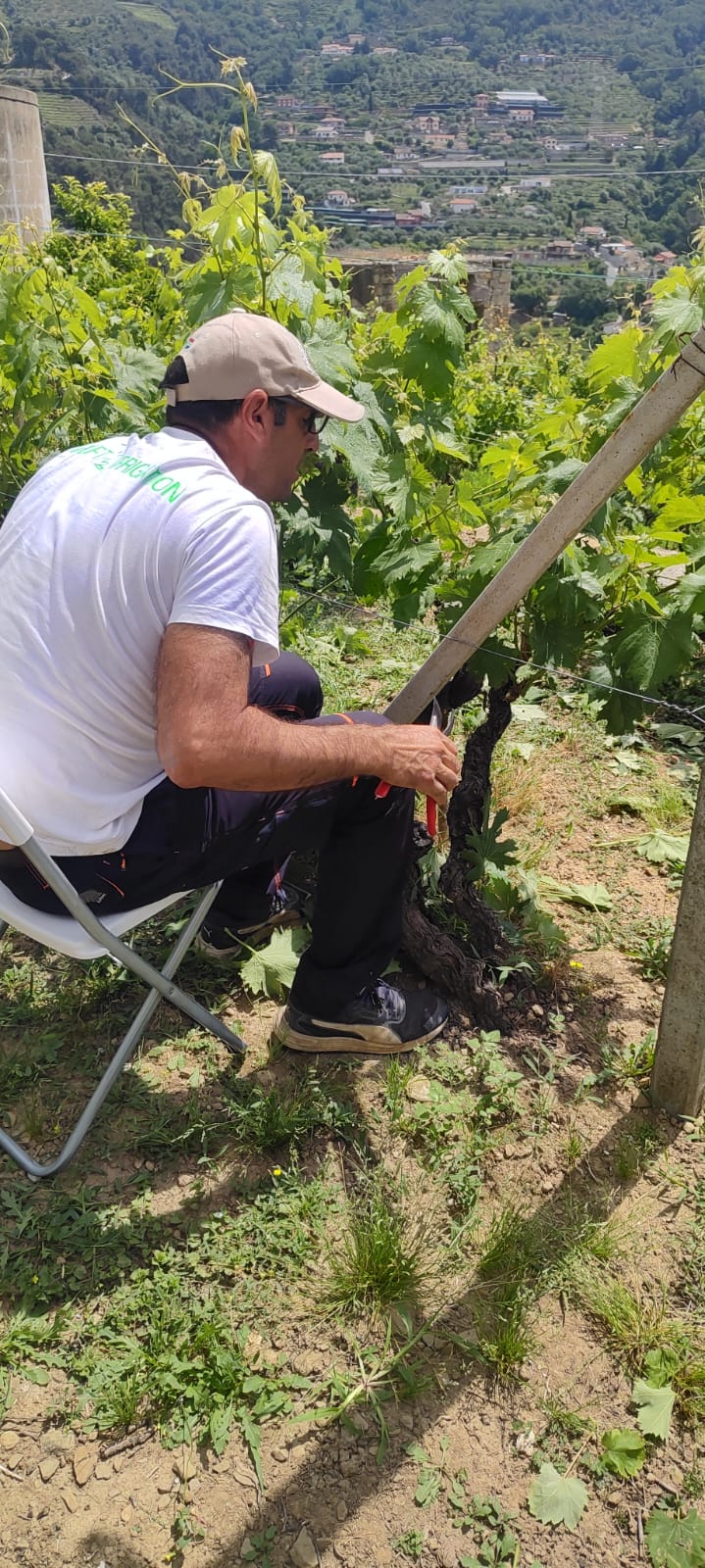 La produzione